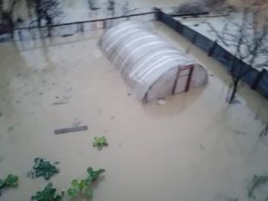 Dere Taştı, Bahçe Ve Sera Sular İçerisinde Kaldı