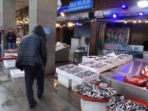 Hamsi Sezonun En Yüksek Fiyatını Gördü