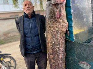 2 Metrelik Balık Oltaya Takıldı: Yoldan Geçen Telefona Sarıldı