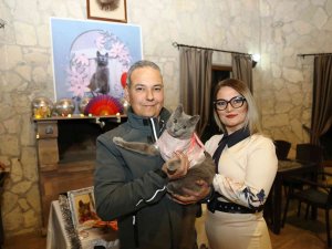 Ayvalık’ta Şanslı Kedi Gümüş’e 5. Doğum Günü Partisi
