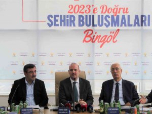 Ak Parti Genel Başkan Yardımcısı İ̇leri: ’’Türkiye’de, Yurt İçinde Bulamadıkları Vizyonu Maalesef Yabancı Danışmanlar İle Bulmaya Çalışıyorlar’’