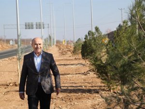 Mardin’de 2 Bin Ağaç Ve Fidan Daha Toprakla Buluştu