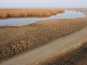 Ağrı Dağı Eteklerinde Yer Alan Karasu’nun Suyu Çekiliyor