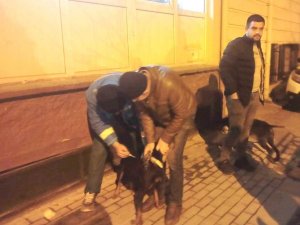 Kütahya’da 63 Adet Köpeğe Çip Uygulaması Ve Kuduz Aşısı