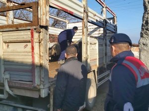 Bilecik’te Sahte Banka Dekontla Hayvan Hırsızlığı Yapan Şahıs Yakalandı