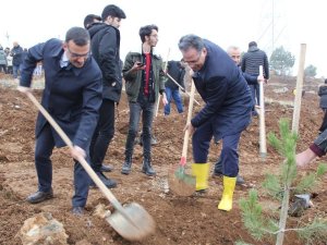 İ̇nönü Üniversitesi’nde Bin Fidan Toprakla Buluşturuldu