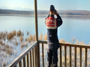 Sinop’ta Jandarmadan Kaçak Avcılık Denetimi