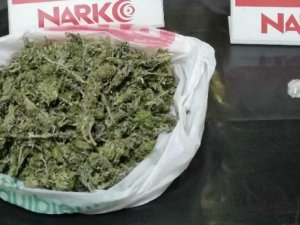 Uyuşturucu Operasyonunda 7 Tutuklama