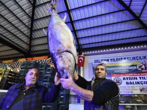 Dev Orkinos İlgi Odağı Oldu