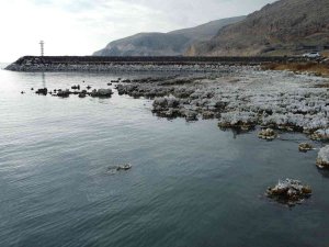 Sular Çekilince Mikrobiyalitler Gün Yüzüne Çıktı, Liman Kullanılamaz Hale Geldi