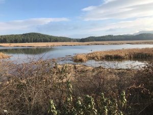 Süleymanlı Yayla Gölünde Dip Temizliği Yapılıyor