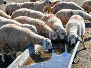 Büyükkılıç: “9 Bin Üreticinin Su Faturasının Yarısını Büyükşehir Ödedi”