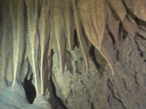 Kırkgöz Suluin Mağarası’nın Biyolojik Haritası Çıkarılacak