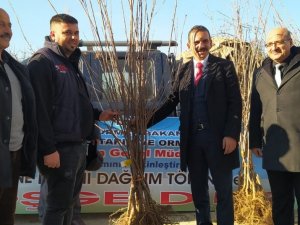 25 Üreticiye 3 Bin 560 Adet Kütahya Cinsi Vişne Fidanı Dağıtıldı