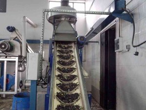 İ̇cradan Alındı, Yeniden Doğdu, Rekora Gidiyor