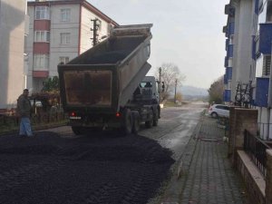 Parkenin Üzerine Asfalt Döktüren Belediye Başkanı: “Teknik Bilgiyi Herkesin Anlamasını Bekleyemeyiz”