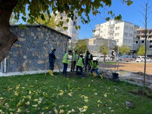 Batman’da Bir Ayda Bin 900 Ağaç Dikimi Gerçekleşti