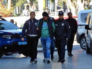 Kucağına Aldığı Yavru Köpeği Isırıp Yumruklayan Şahıs Tutuklandı