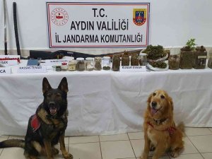 1 Haftada 2 Kilo Uyuşturucu Ele Geçirildi