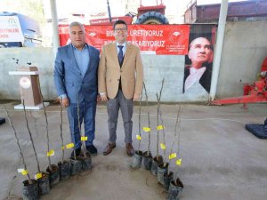 Menteşe’de 3 Kırsal Mahalleye 4 Bin Adet İncin Fidanı Dağıtıldı