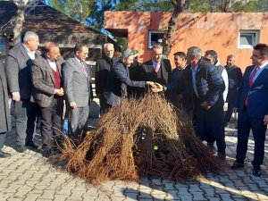 Kahtalı Çiftçilere 10 Bin Nar Fidanı Dağıtıldı