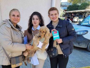 Kedisini, Köpeğini Getiren Mikroçip Sırasına Girdi