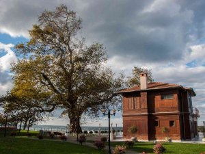 Yalova’da Müzeler, 1 Ocakta Kapalı Olacak