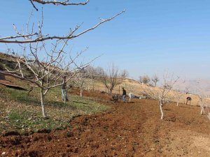 Siirt’te Kuraklık Endişesi Çiftçileri Korkutuyor