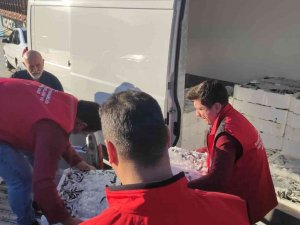 750 Kilo İstavrite El Konuldu