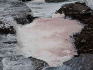 Dereyi Kirleten Firma Faaliyetten Men Edildi