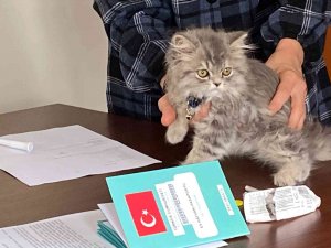 Nevşehir’de 3 Bin 200 Evcil Hayvan Çiplendi