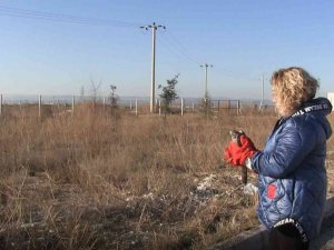 Cama Çarpan Atmacanın Tedavi Tamamlandı Ve Doğa Salındı