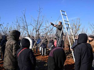 Üreticilere Budama Eğitimi Verildi