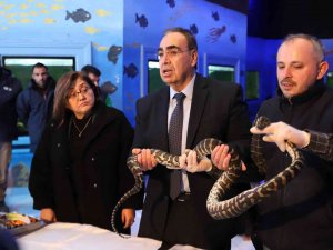 Kaçak Yollarla Yurda Sokulan 108 Hayvanın Yeni Yuvası Gaziantep Oldu