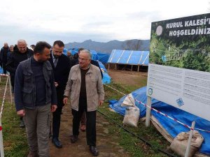 Başkan Güler: “Kurul Kalesi, Kültür Ve Turizmin Merkezi Haline Geliyor”