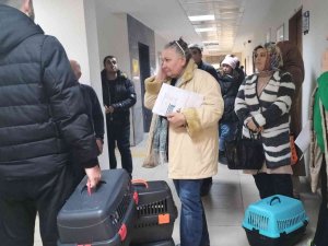 Karabük’te Evcil Hayvanlar İçin Çip Ve Aşı Yoğunluğu Yaşanıyor