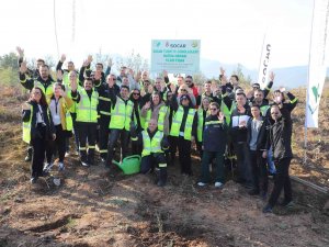 Geri Dönüştürülen Kağıtlardan 10 Bin Fidanlık Orman Oluşturuldu