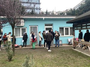 İ̇stanbul İ̇l Tarım Ve Orman Müdürü Karaca: “İ̇stanbul’da 220 Bin Kedi Ve 103 Bin Köpeğin Mikroçipleme İşlemlerini Bitirdik”