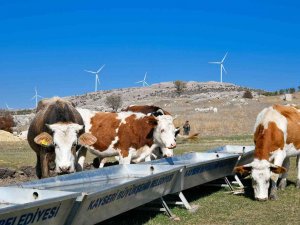 Başkan Büyükkılıç’tan Tarım Ve Hayvancılığa 100 Milyon Tl’nin Üzerinde Yatırım