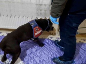 Yorgan Altından Uyuşturucu Çıktı: 2 Gözaltı