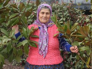 Ümmiye Koçak’ın Köyden New York’a Uzanan Başarı Hikayesi