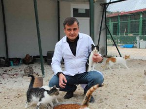 Evcil Hayvan Sahipleri Dikkat, Son 2 Gün