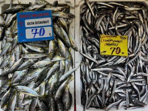 Hava Sıcaklığı Balık Tezgahlarını Olumsuz Etkiliyor