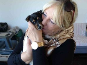 Alkollü Şahıs Tarafından Isırılıp Yumruklanan Yavru Köpek Almanya Yolcusu