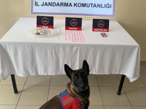 Çankırı’da Uyuşturucu Operasyonu: 1 Gözaltı