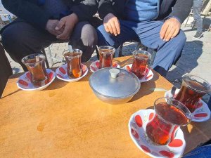 Adilcevaz’da Yalancı Bahar