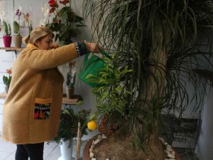 Yılbaşı Öncesi Çiçekçiler Doldu Taştı