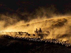 İ̇ha Objektiflerinden 2022 Yılı