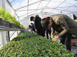 Türkiye Tarımının Yeni Gücü