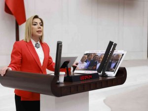 Ak Parti Muğla Milletvekili Gökcan’dan Yeni Yıl Mesajı